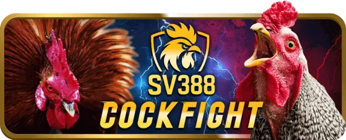 Hướng dẫn tải và cài đặt king33 app